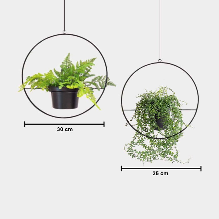 Aberto Design Jardinera de Metal Negra